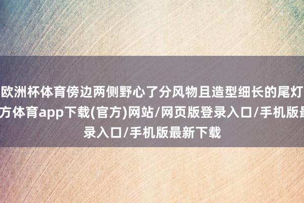 歐洲杯體育傍邊兩側(cè)野心了分風(fēng)物且造型細(xì)長的尾燈-世博官方體育app下載(官方)網(wǎng)站/網(wǎng)頁版登錄入口/手機版最新下載