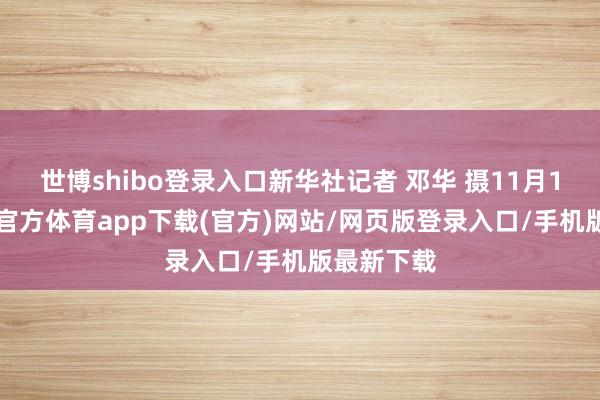 世博shibo登錄入口新華社記者 鄧華 攝11月13日-世博官方體育app下載(官方)網站/網頁版登錄入口/手機版最新下載