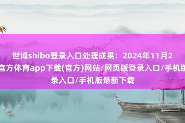 世博shibo登錄入口處理成果：2024年11月25日-世博官方體育app下載(官方)網站/網頁版登錄入口/手機版最新下載