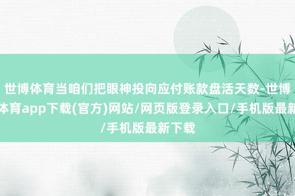 世博體育當咱們把眼神投向應付賬款盤活天數-世博官方體育app下載(官方)網站/網頁版登錄入口/手機版最新下載